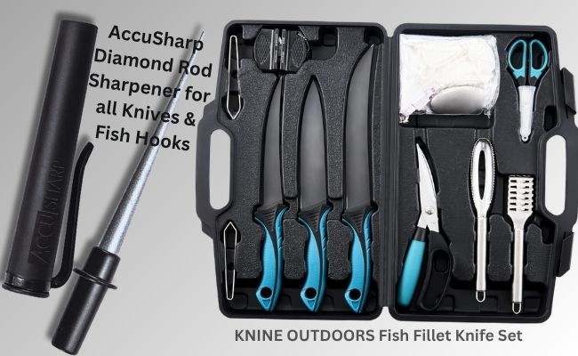 Best Fillet Knife Sharpeners