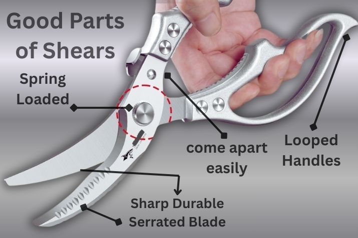 best poultry shears for turkey